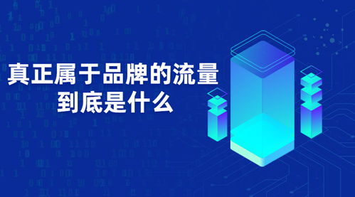 什么才是真正属于品牌的流量？——以计算机软硬件及辅助设备零售为例